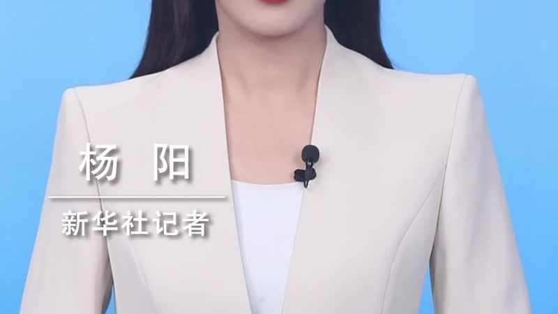 大数据分析入门：代码示例解析与实战技巧