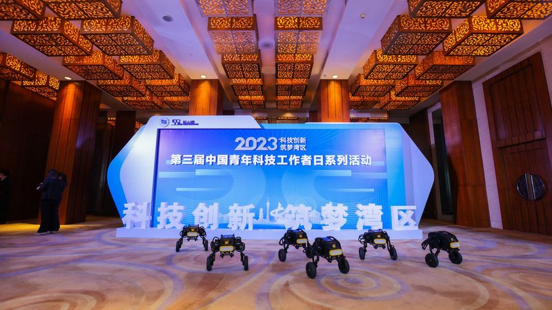 高新技术企业人员学历分类标准解析